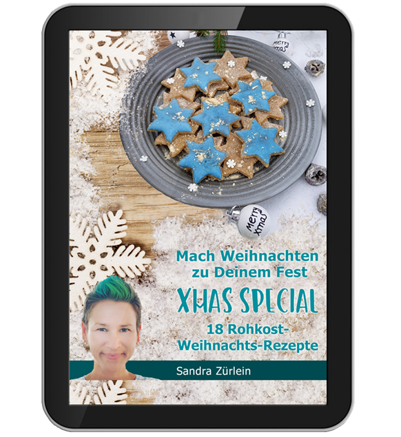 werbung-banner-weihnachtsebook